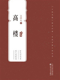 《百花中篇小说丛书：高楼》-王祥夫