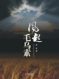 《风起毛乌素》-亚东