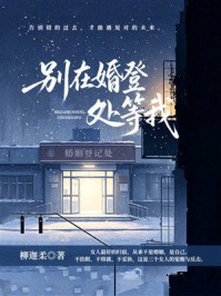 《别在婚登处等我》-柳迦柔