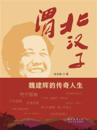 《渭北汉子》-金步摇