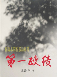 《第一政绩》-王清平 《第一政绩》-王清平