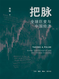《把脉:全球巨变与中国经济》-高柏 《把脉:全球巨变与中国经济》-高柏