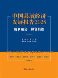 《中国县域经济发展报告2025：城乡融合 绿色转型》-陈剑