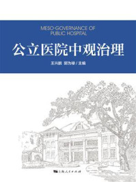 《公立医院中观治理》-王兴鹏 《公立医院中观治理》-王兴鹏