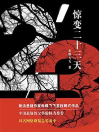 《惊变23天》-赤蝶飞飞