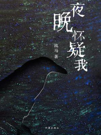 《夜晚怀疑我》-流马