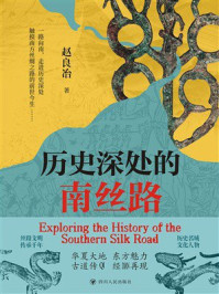 《历史深处的南丝路》-赵良冶