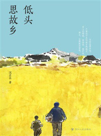 《低头思故乡》-况正兵