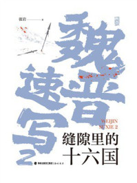 《魏晋速写2：缝隙里的十六国》-张岩