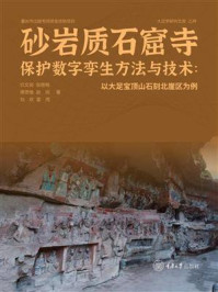 《砂岩质石窟寺保护数字孪生方法与技术：以大足宝顶山石刻北崖区为例》-仉文岗