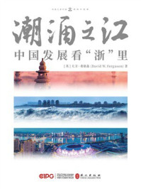 《潮涌之江:中国发展看“浙”里》-大卫·弗格森 《潮涌之江:中国发展看“浙”里》-大卫·弗格森