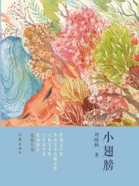 《小翅膀》-周晓枫 《小翅膀》-周晓枫