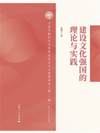 《建设文化强国的理论与实践》-孟建