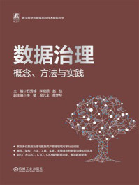 《数据治理：概念、方法与实践》-石秀峰