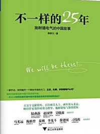 《不一样的25年：施耐德电气的中国故事》-陈斯文