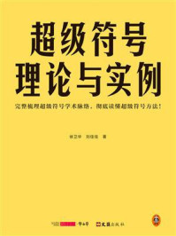 《超级符号理论与实例》-刘佳佳,徐卫华