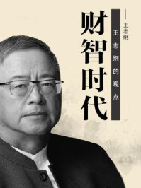 《财智时代：王志纲的观点》-王志纲