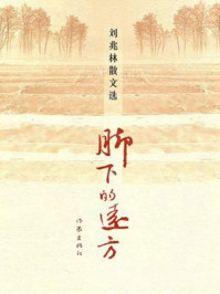 《脚下的远方》-刘兆林