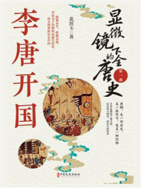 《显微镜下的全唐史（第一部）李唐开国》-北溟玉