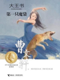 《第一只魔袋（曹文轩大王书系列2）》-曹文轩