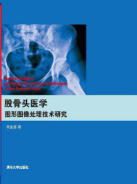 《股骨头医学图形图像处理技术研究》-何金国