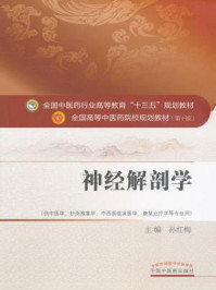 《神经解剖学》-孙红梅