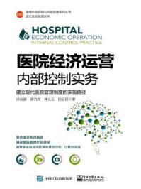 《医院经济运营内部控制实务：建立现代医院管理制度的实现路径》-涂远超