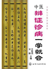 《中医辨证诊病一学就会》-宋毅