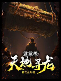 《盗墓者：天地寻龙》-糖衣古典