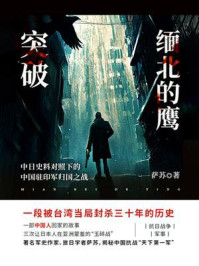 《突破缅北的鹰》-萨苏