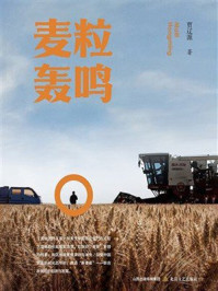 《麦粒轰鸣》-贾辽源