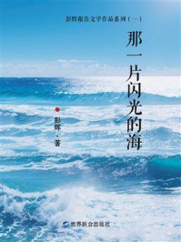 《那一片闪光的海》-彭辉