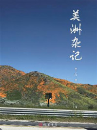 《美洲杂记》-李二红