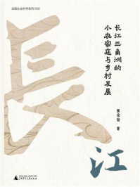 《长江三角洲的小农家庭与乡村发展》-黄宗智