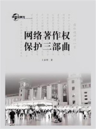 《网络著作权保护三部曲》-王永涛