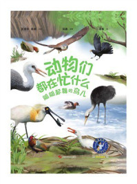 《动物们都在忙什么：翩翩起舞的鸟儿》-王德华
