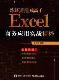 《练好套路成高手：Excel商务应用实战精粹》-张剑悦