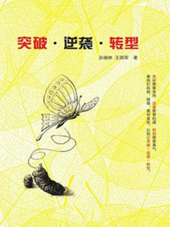 《突破·逆袭·转型》-孙瑞林,王国军